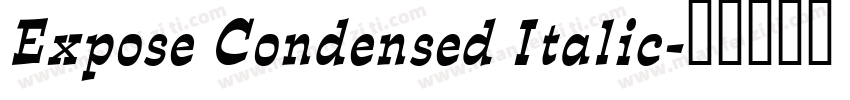 Expose Condensed Italic字体转换